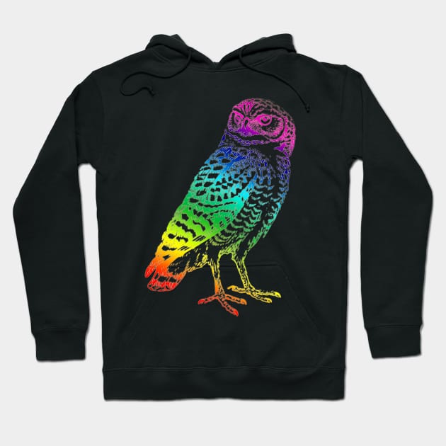 Owl Rainbow Hoodie by hudayadi